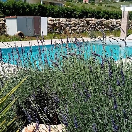 Villa Miro, Stupenda Villa Con Piscina Privata Castellammare del Golfo Ngoại thất bức ảnh